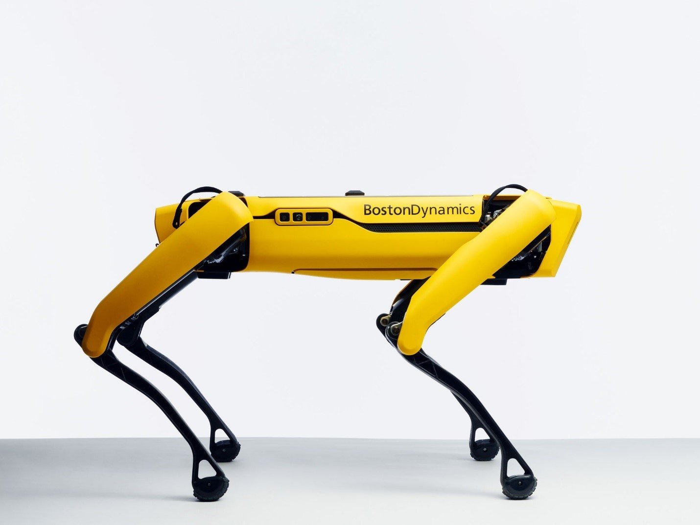 Boston Dynamic Robot